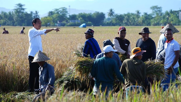Mengatasi Krisis Regenerasi di Sektor Pertanian Indonesia